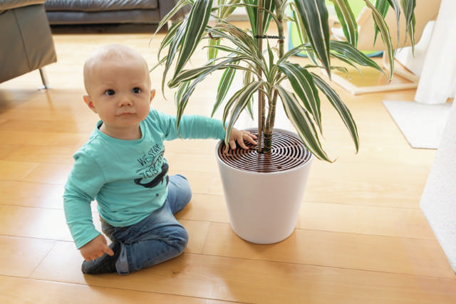 ABUS Pflanzenschutz, 2 Stk.