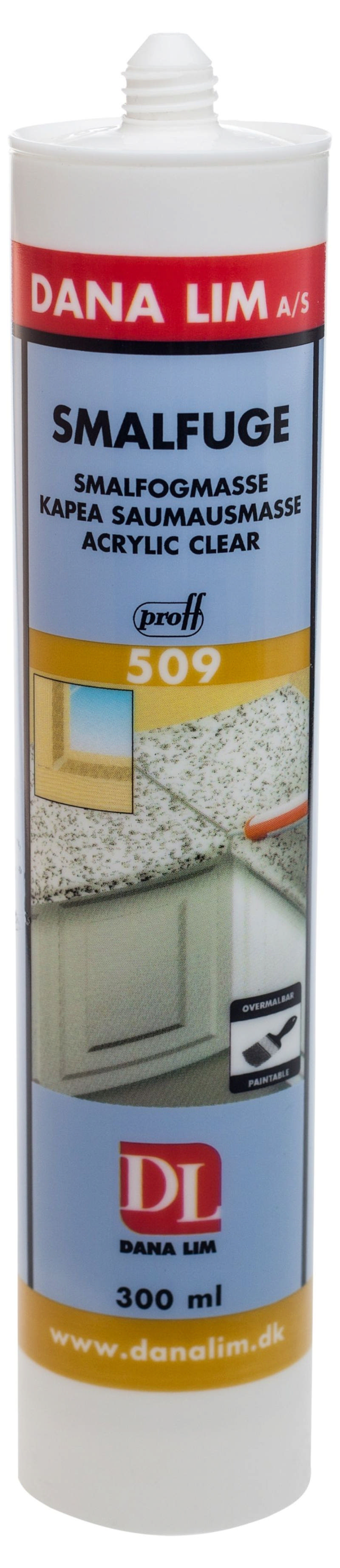 Dana Schmaldichtmittel 509 Transparent 300 ml