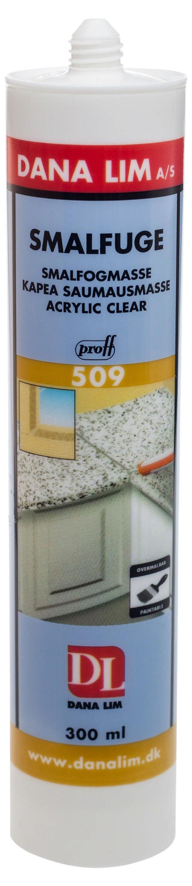 Dana Schmaldichtmittel 509 Transparent 300 ml