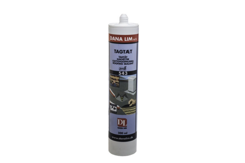Dana Glue Rooftight 543 schwarz pt 300ml