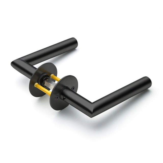 Randi Line 18 Türgriff F massive Rosette CC30, schwarz PVD